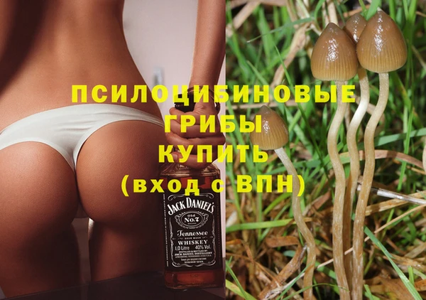 mdpv Верея