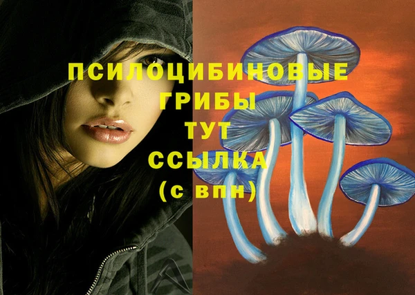mdpv Верея