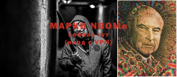 молекула духа Верхний Тагил