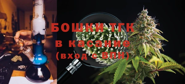 молекула духа Верхний Тагил
